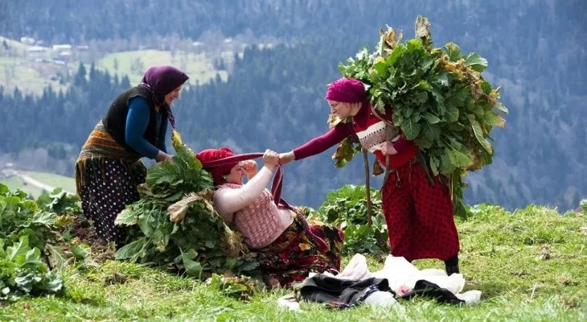 Rize nüfusunun yüzde 50'si kadın