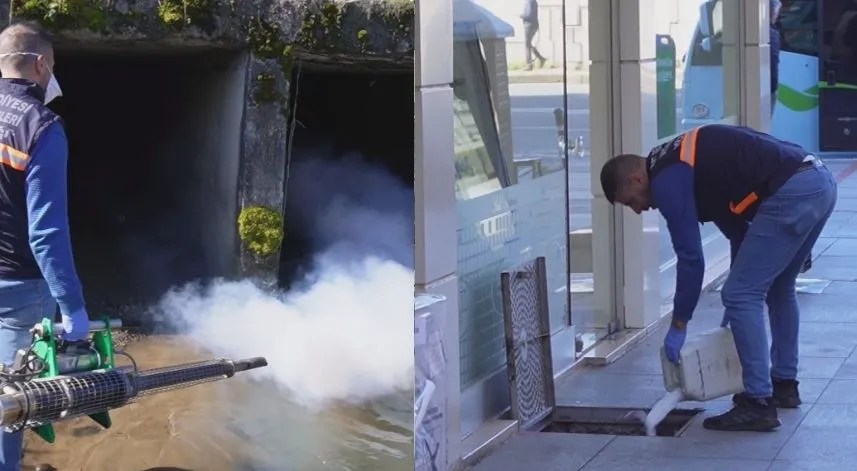 Rize Belediyesi’nin ‘sivrisinek’ mücadelesi sürüyor