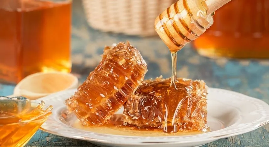 Türkiye'nin 2 aylık bal ihracatı 5,1 milyon dolar oldu