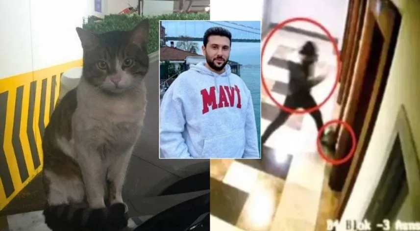 Kedi Eros'u vahşice öldüren İbrahim Keloğlan'ın cezası belli oldu