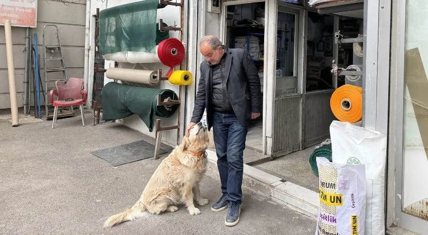 Köpekten kaçarken düşüp diz kapağı kırılan kadın 315 bin lira tazminat kazandı