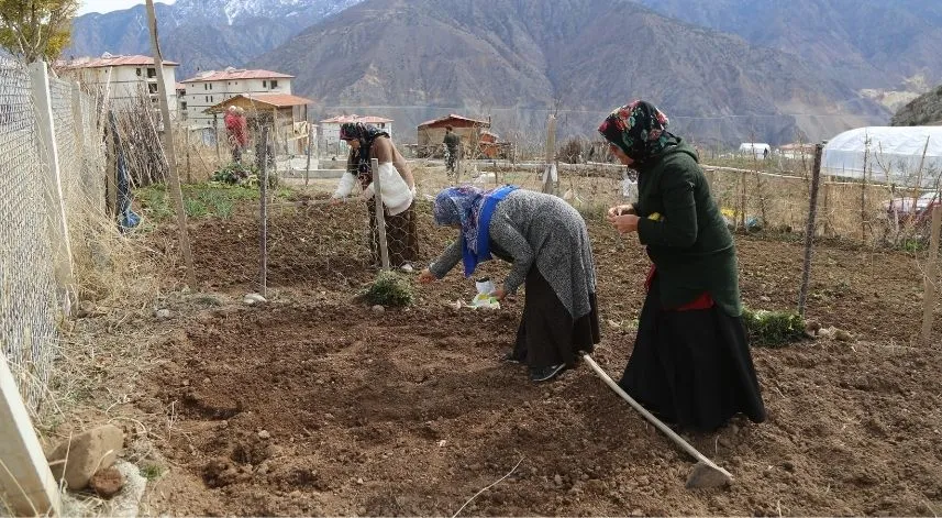 Yeni Yusufeli eski Yusufeli'nin toprağıyla hayat bulacak