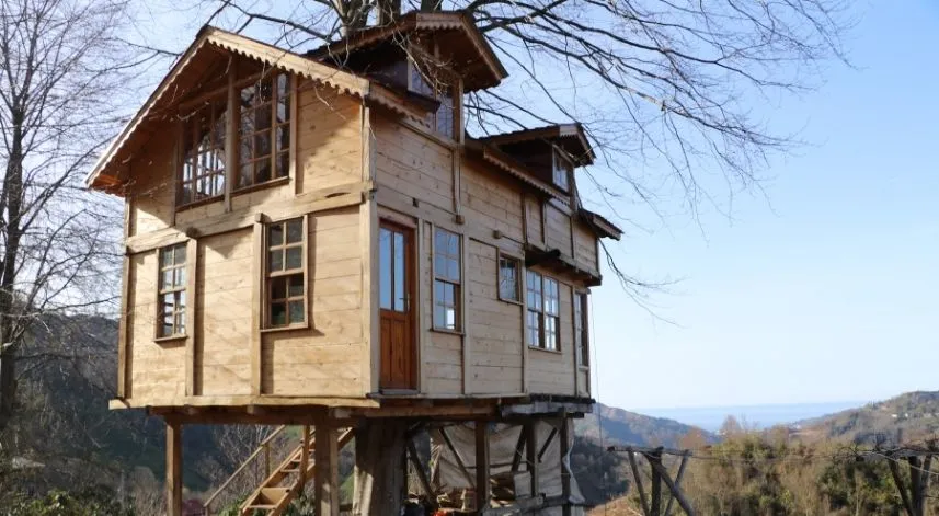 Rize'de 150 yıllık ağacın gövdesine 2+1 ev yaptı