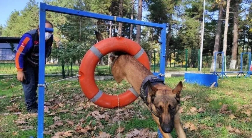 AFAD, Rize K9 ekiplerine kurtarma köpeği eğitimi verdi