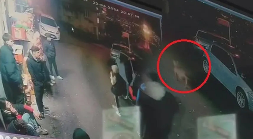 Başıboş köpekler 2 çocuğu ısırdı