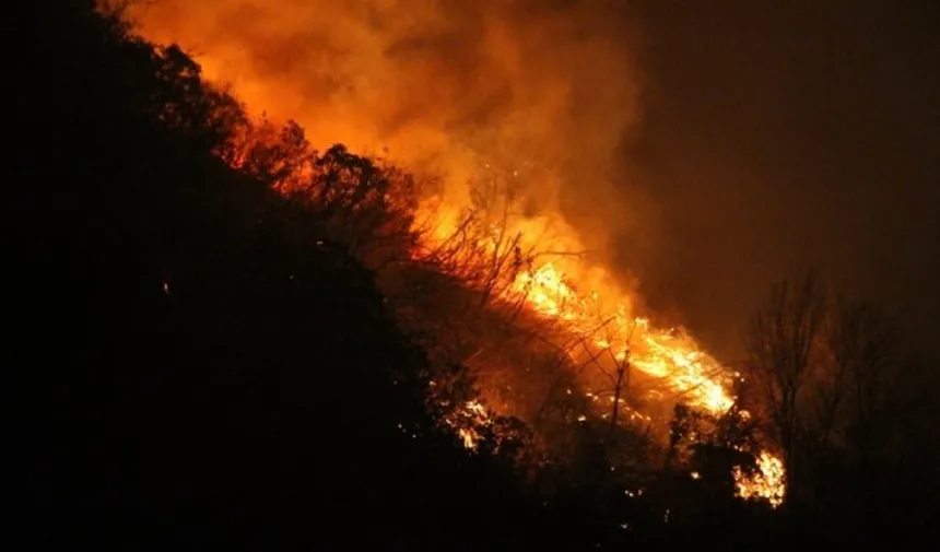 Of'ta ormanlık alan küle döndü