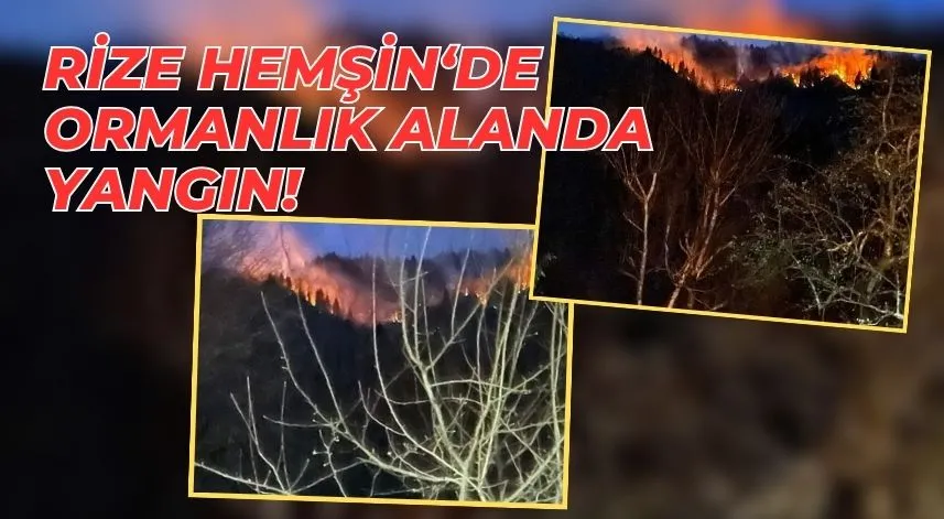 Rize’de anız yangını kontrol altına alındı