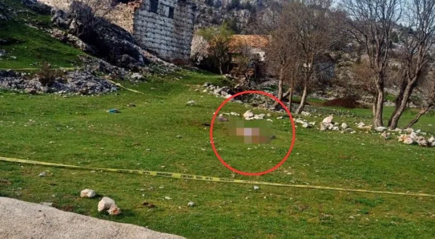 Köpek sürüsünün saldırdığı yaşlı kadın hayatını kaybetti