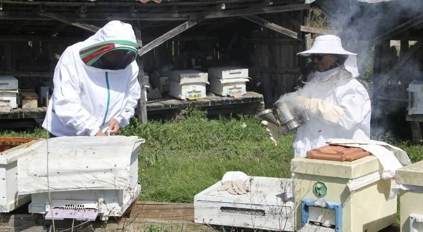 Emekli çiftin bir kovanla başlayan arıcılık serüveni 35 yıldır sürüyor