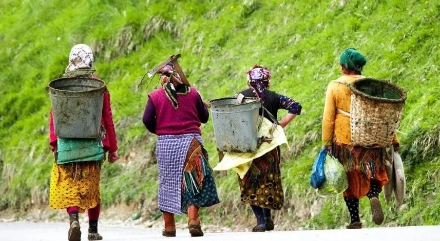 Rize nüfusunun yarısı kadınlardan oluşuyor