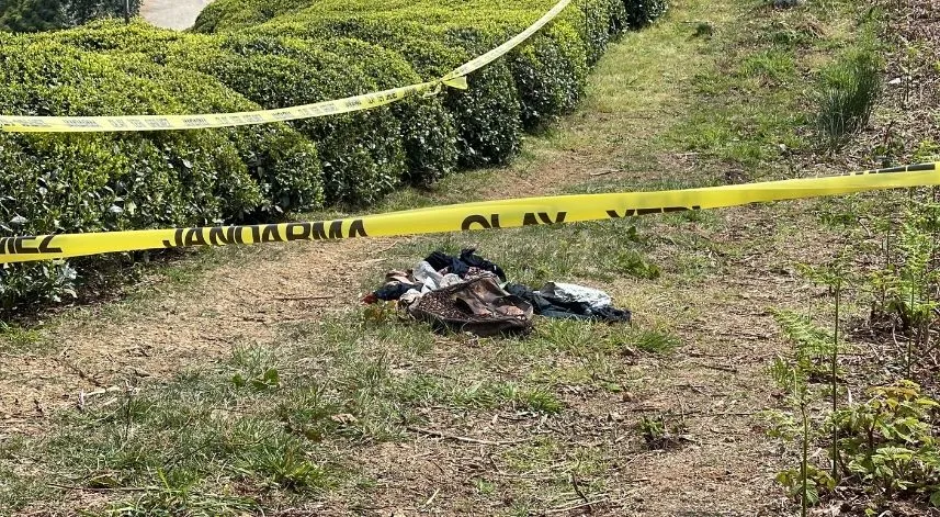 Çay bahçesinde bulunan ceset için açıklama: Ceset çürümüş haldeydi