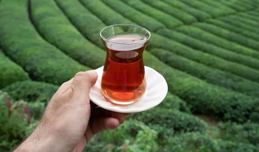 Rize, o sıralamada dünya birincisi oldu