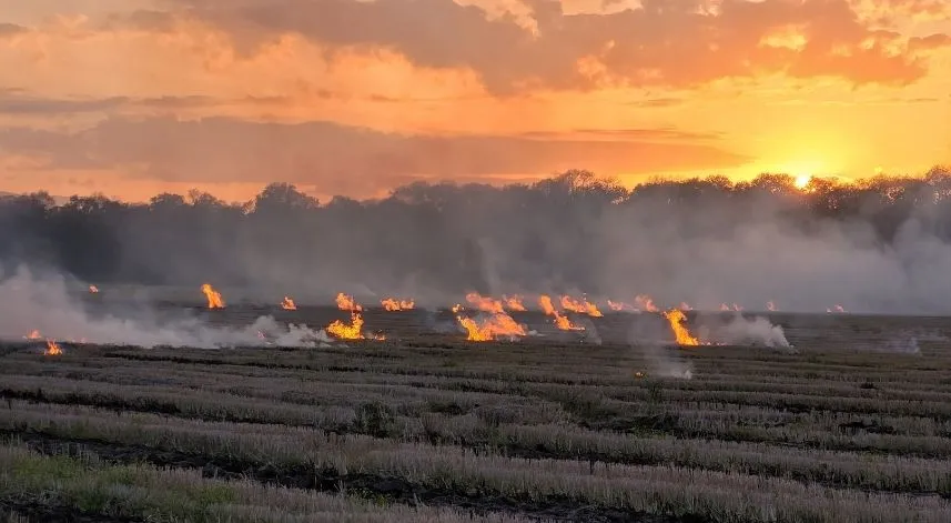 Samsun'da tarım arazisinde çıkan yangın söndürüldü