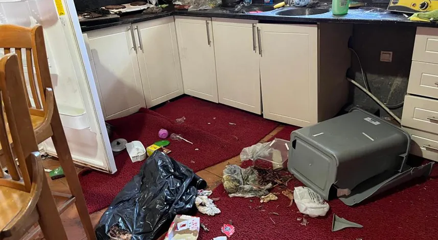 Aç kalan ayılar kayak tesisine dadandı