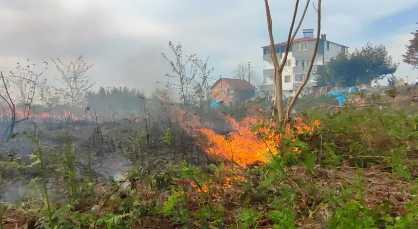 Giresun’da örtü yangını meydana geldi
