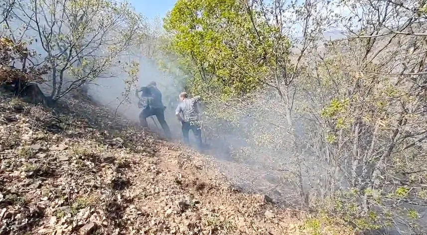 Yangında 10 dekar ağaçlık alan zarar gördü