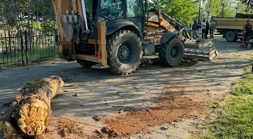 Ağacın devrilmesi sonucu yere düşen kişi yaralandı