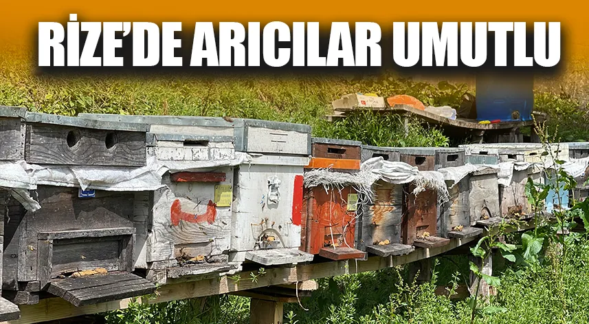 Rize'de arıcılar yeni sezondan ümitli