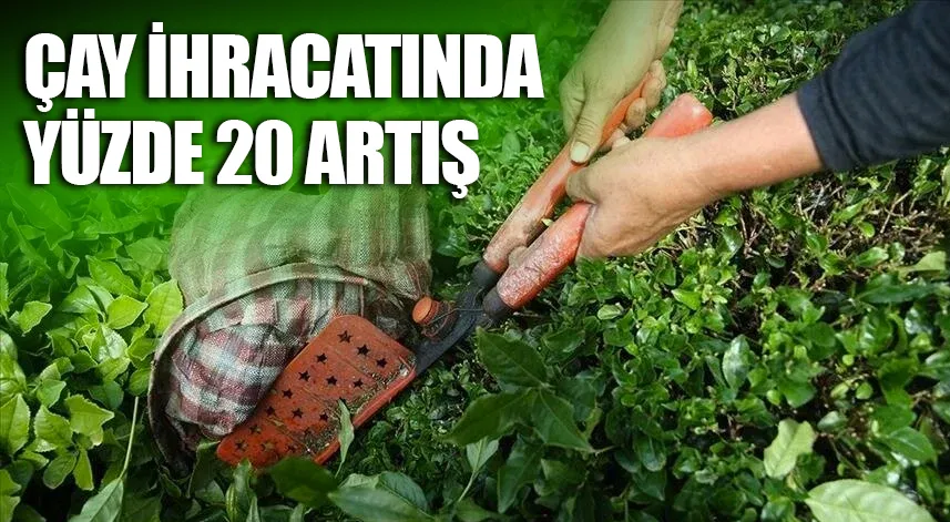 Türkiye'nin çay ihracatında yüzde 20 artış