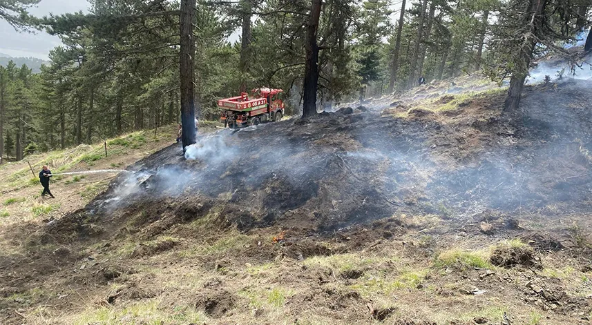 Ormanlık alanda başlayan yangın büyümeden söndürüldü