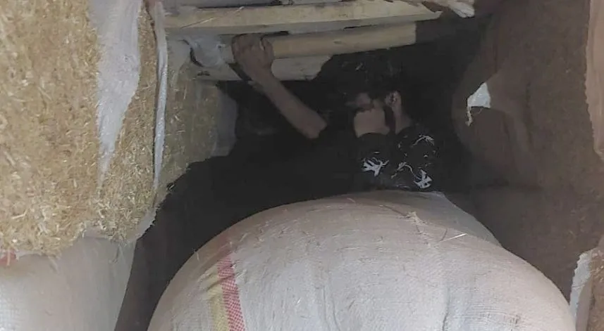 Artvin'de 15 düzensiz göçmen yakalandı