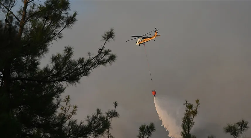 Orman yangınlarının önlenmesi için 3 Mayıs'ta  kampanya düzenlenecek