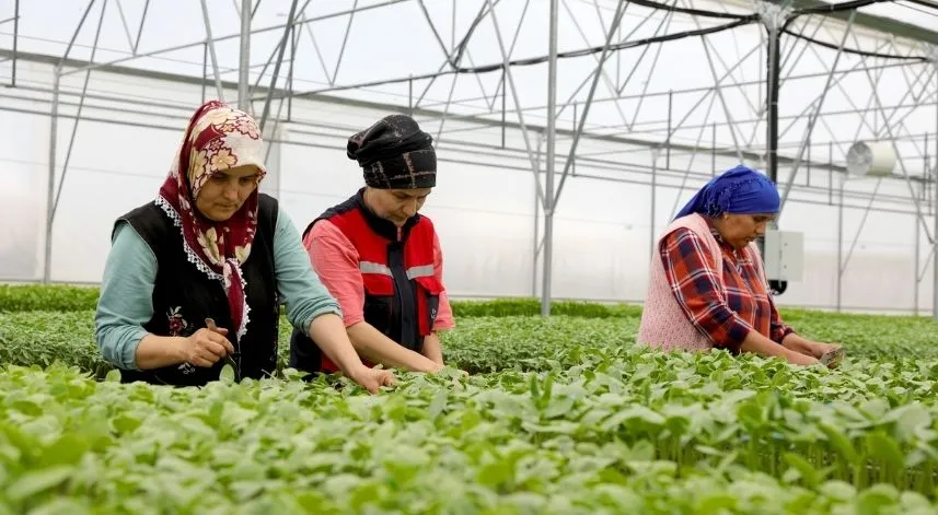 'Üretici dostu' belediye