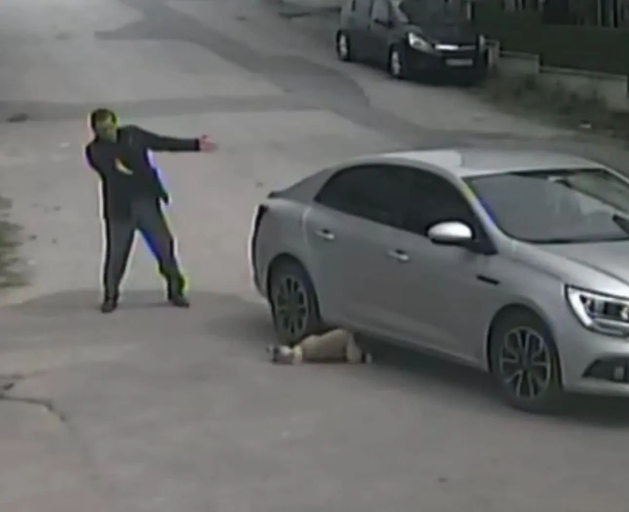 Aracıyla ezdiği köpeğe sitem etti