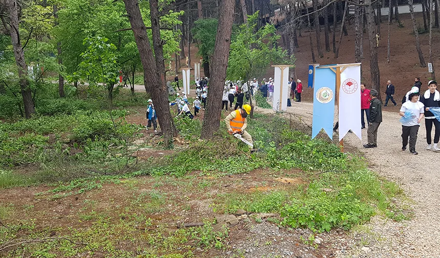 Öğrenciler ormandaki yanıcı materyalleri temizledi