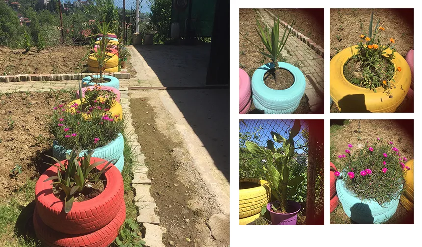 Rize'de eski otomobil lastikleri bahçede saksı olarak kullanılıyor