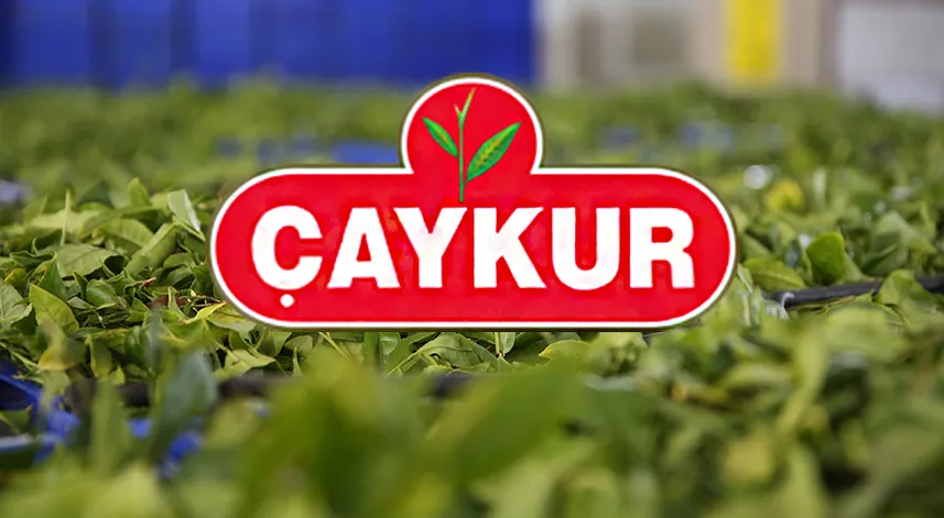 Ardeşen Çay Fabrikası ÇAYKUR işçi alımı kura sonuçları