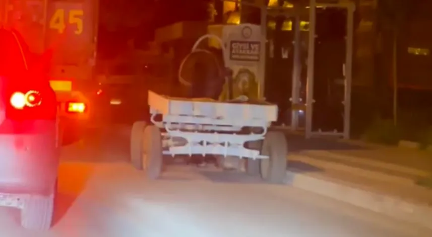 Başıboş at arabası şehir turu attı, görenler şaştı kaldı