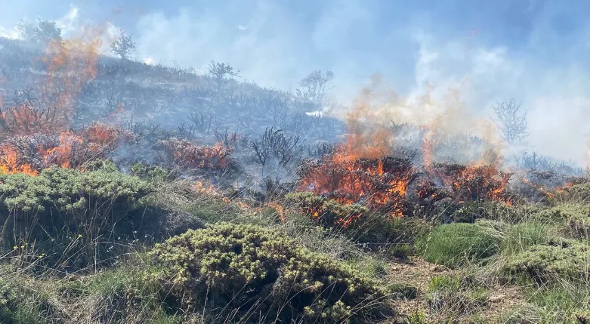Otluk alanda çıkan yangın söndürüldü