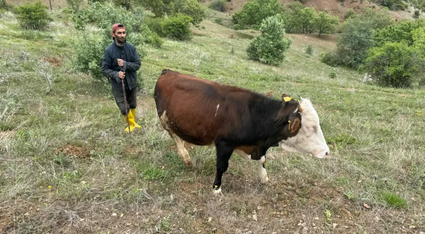Devlet desteğiyle başladığı hayvancılığı 16 yıldır sürdürüyor