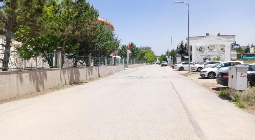 Otomobilin altında kalan köpek öldü