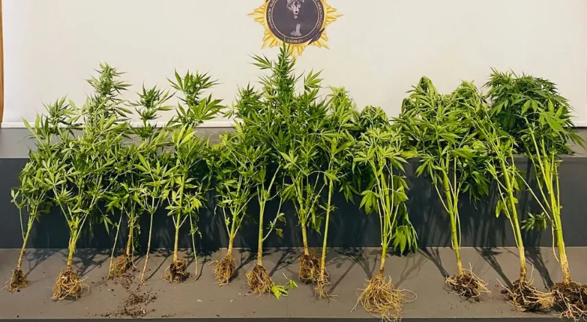 Uyuşturucu operasyonunda 2 zanlı yakalandı