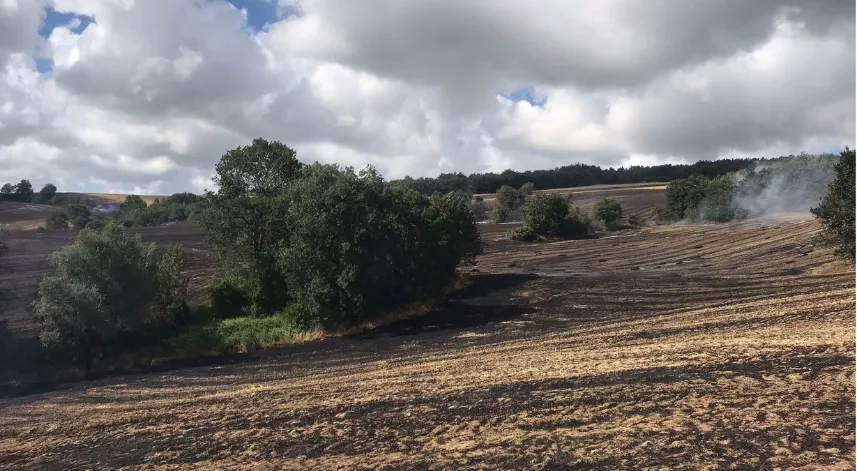 Anız yangını yaklaşık 100 dönüm alanda zarara yol açtı