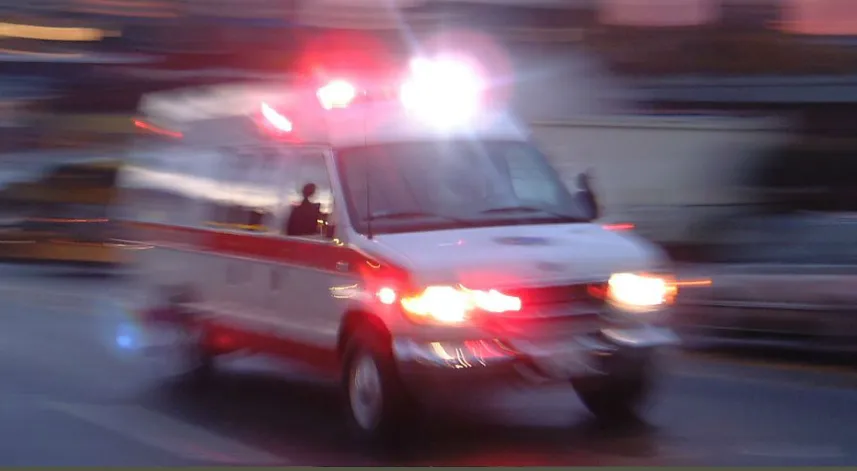 Rize'de ağaçtan düşen kişi hayatını kaybetti