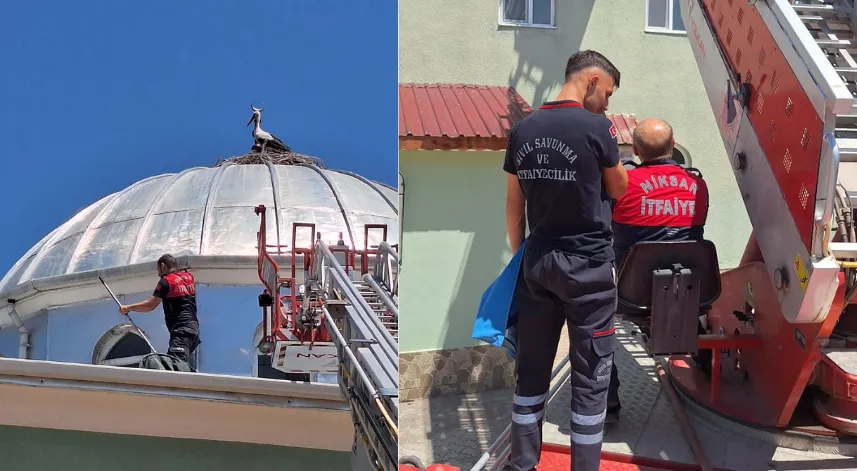 Yuvasından düşen leylek yavrusu itfaiye tarafından yerine konuldu