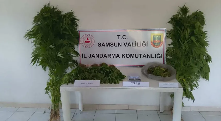 Samsun'da uyuşturucu operasyonunda 1 zanlı yakalandı