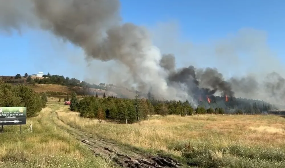 Çorum'da hatıra ormanında çıkan yangına müdahale ediliyor