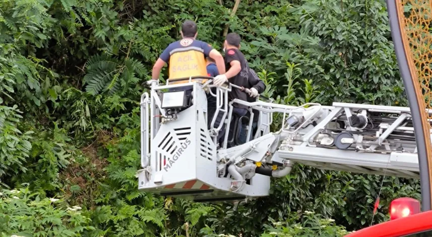 Rize'de 3 gündür kayıp olan yaşlı adam ormanda ölü bulundu