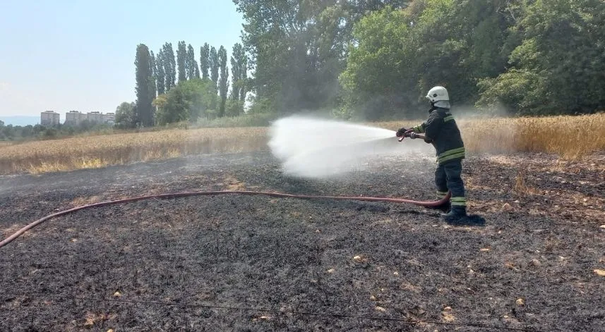 Bolu'da buğday tarlasında çıkan yangın söndürüldü