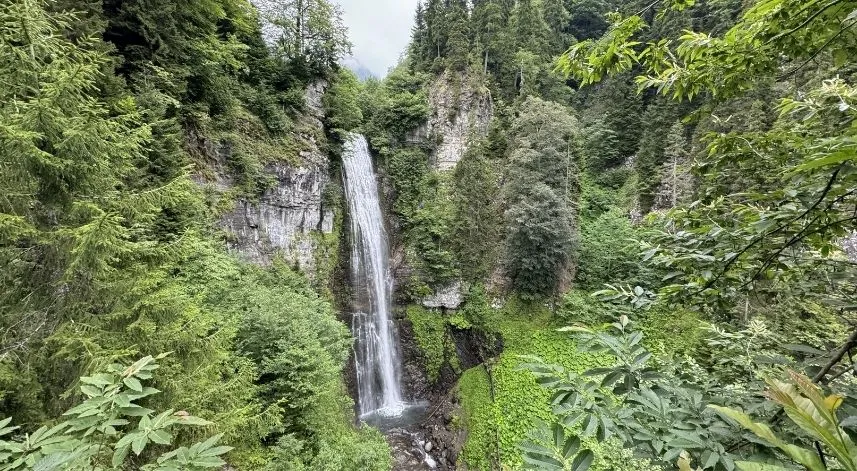 Türkiye'nin tek biyosfer rezerv alanı Camili, kültürel ekolojik gezilerin rotasında