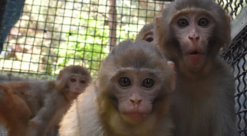 U yigitning qolini tortdi