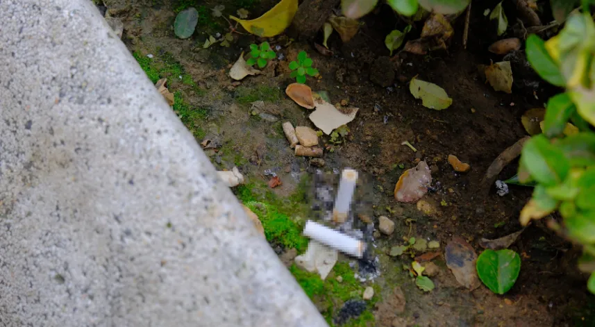 Bolu'da 6 bankaya sigara izmariti cezası