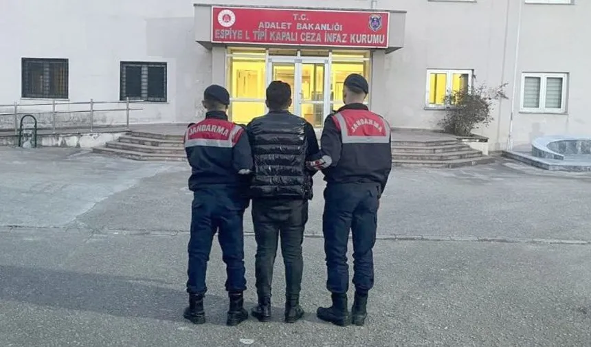 Giresun'da bir kadının av tüfeğiyle vurulup ölmesine ilişkin 5 şüpheli gözaltına alındı