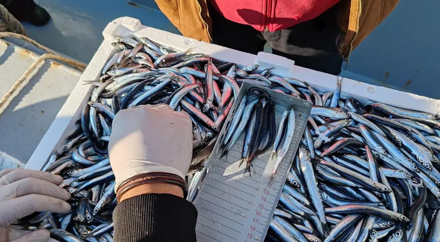 2024'te Kaçak su ürünleri avcılığı yapanlara 2 milyon 170 bin lira para cezası kesildi