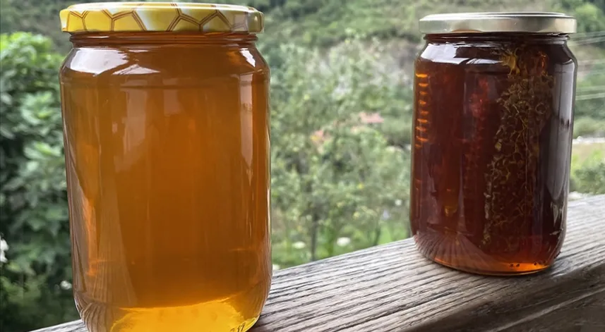 Türk balı ihracatı 2024'te 32,3 milyon doları aştı