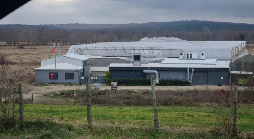 Sinop'ta etkili olan fırtına seralara zarar verdi